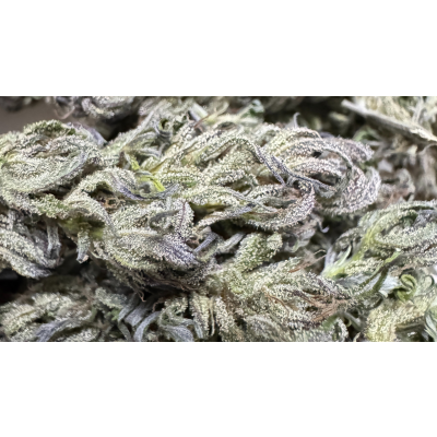 Cannabis Trocknen - Die Anleitung für perfekte Ergebnisse - Cannabis richtig trocknen: Anleitung &amp; Profi-Tipps