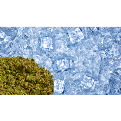 Cannabis einfrieren - Das MUSST du wissen! - Cannabis einfrieren – sinnvoll oder lieber vermeiden?