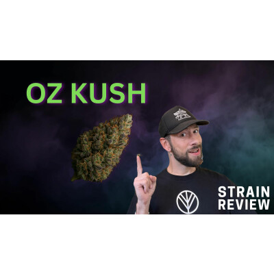 Afghan Kush Strain - Die Mutter aller Indica Sorten - Afghan Kush Strain - Die Mutter aller Indica Sorten