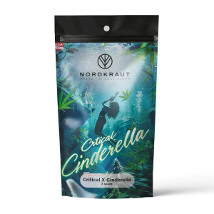 Nordkraut Critical X Cinderella