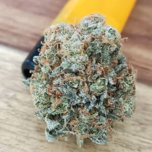 Nordkraut Sour Diesel Auto