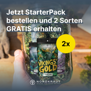 Grow your Balance Bundle