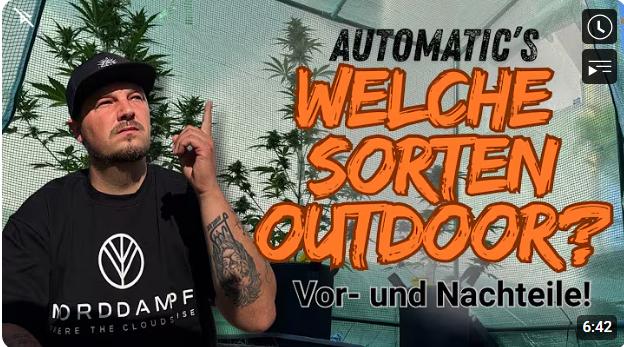 Automatic Sorten