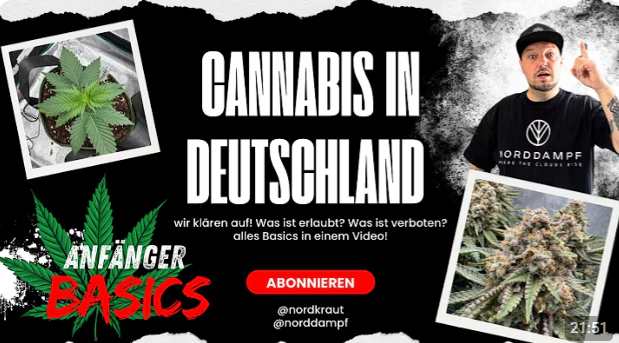 Cannabis Anbau in Deutschland