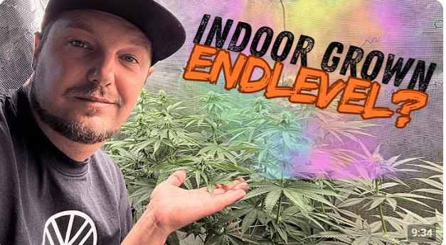 Indoor Anbau