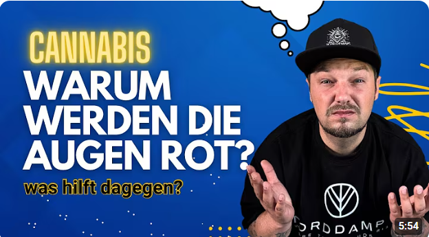 Rote Augen vom Kiffen