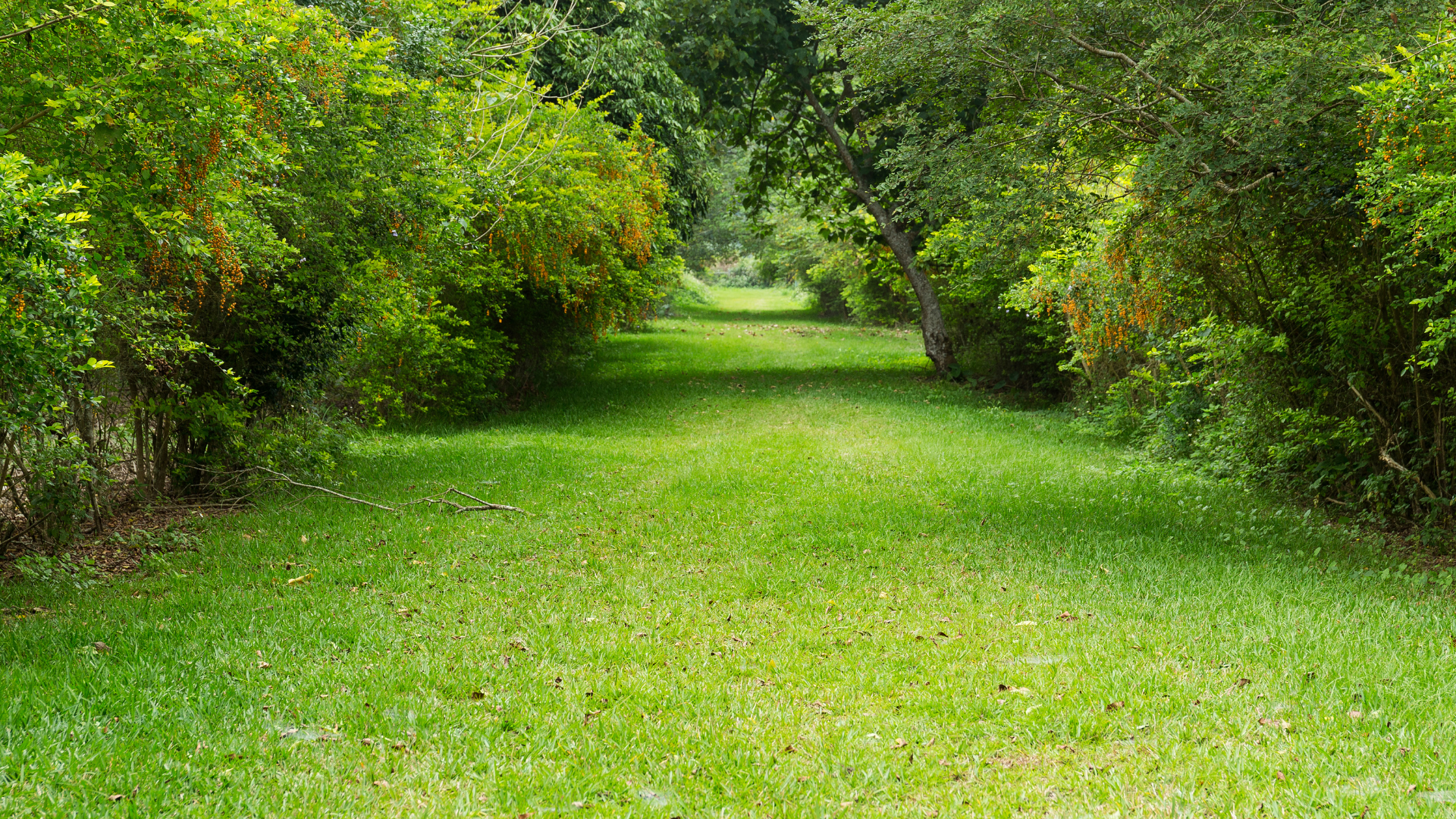 Garten