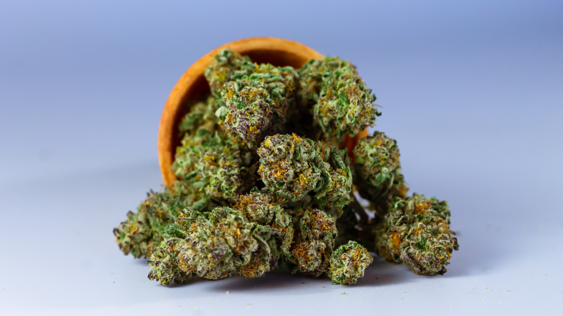 Hanf in einem Gefäss als Symbolbild für Cannabis lagern