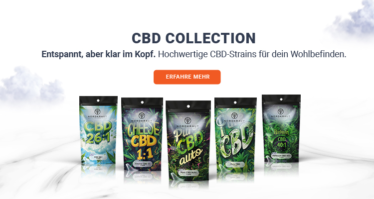 CBD Samen Werbebanner