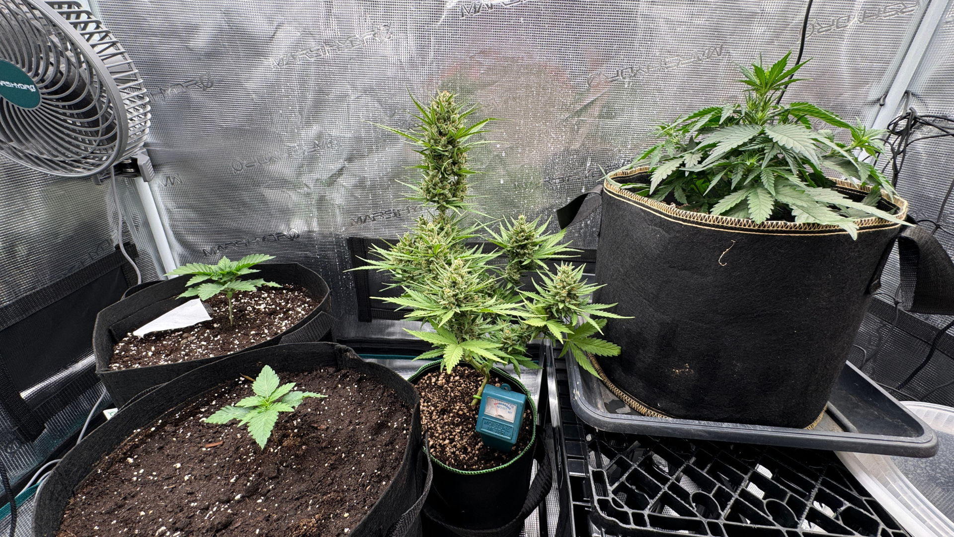 Grow Box selber bauen