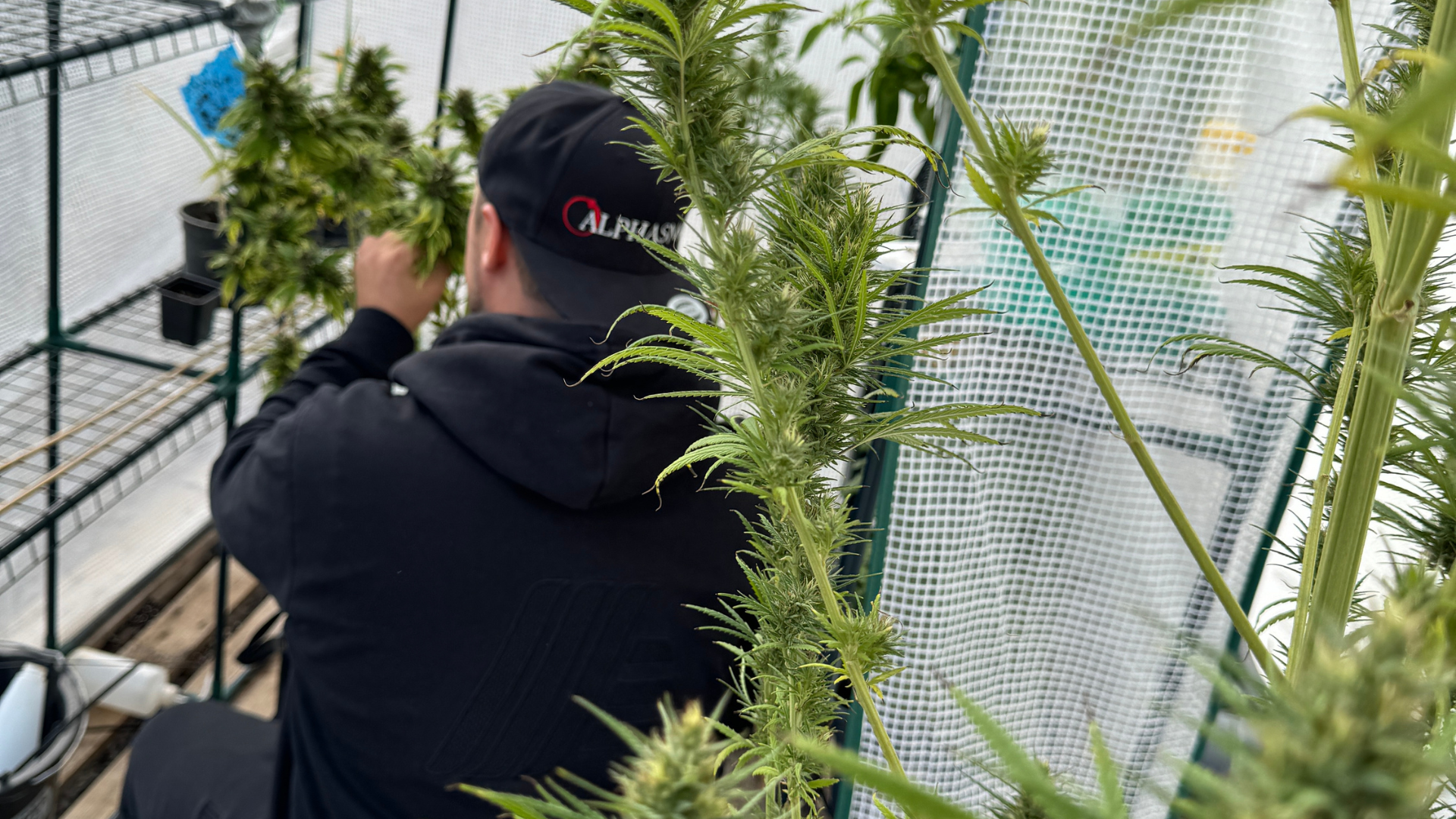 Grow Box Outdoor