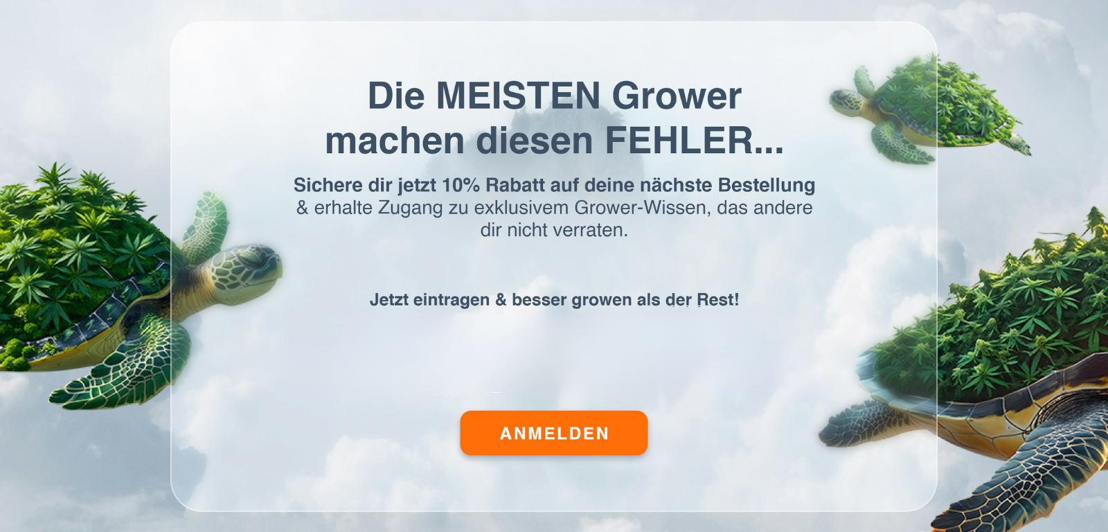 Newsletter
