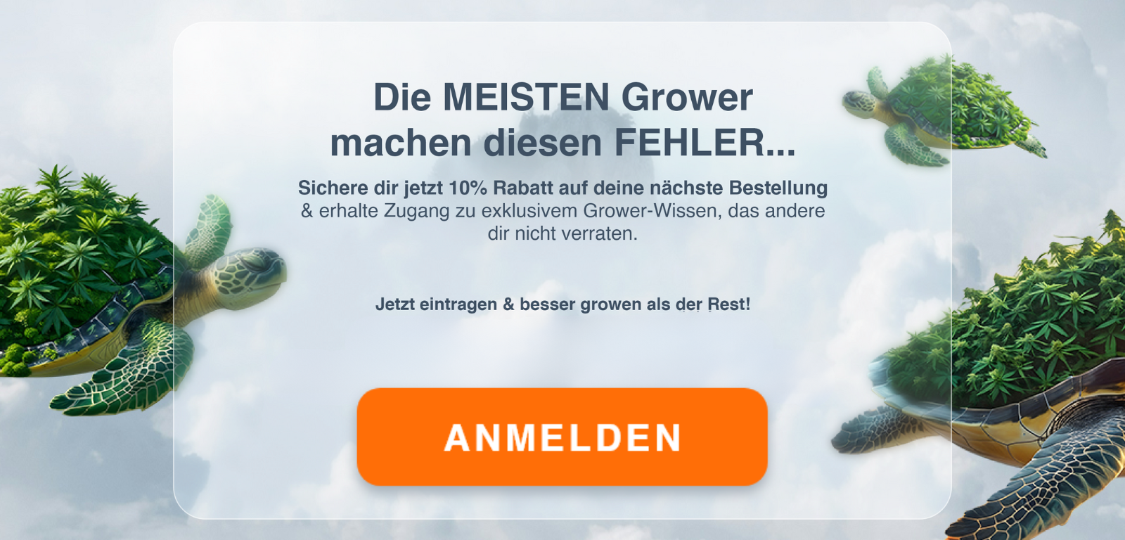 Newsletter Bilder