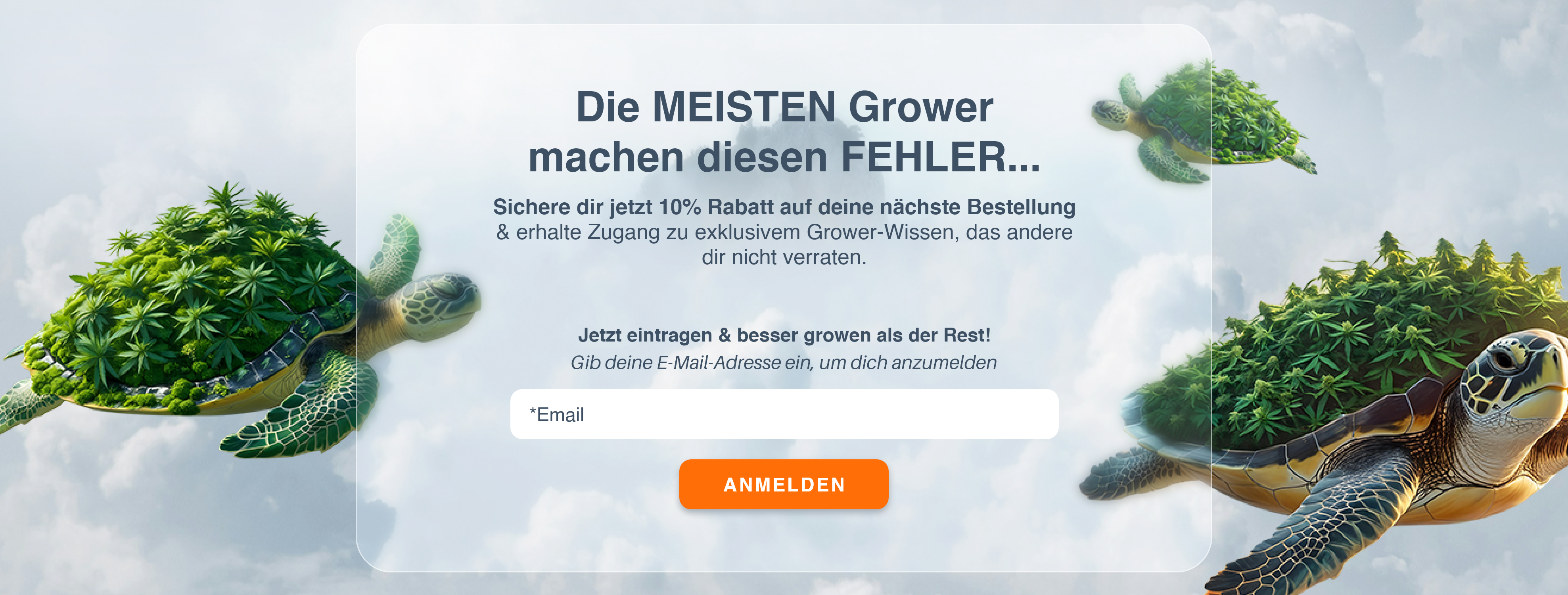 Newsletter Banner
