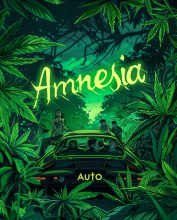 Nordkraut Amnesia Auto