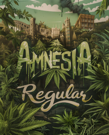 Nordkraut Amnesia Regular