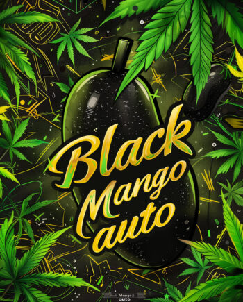 Nordkraut Mango Auto