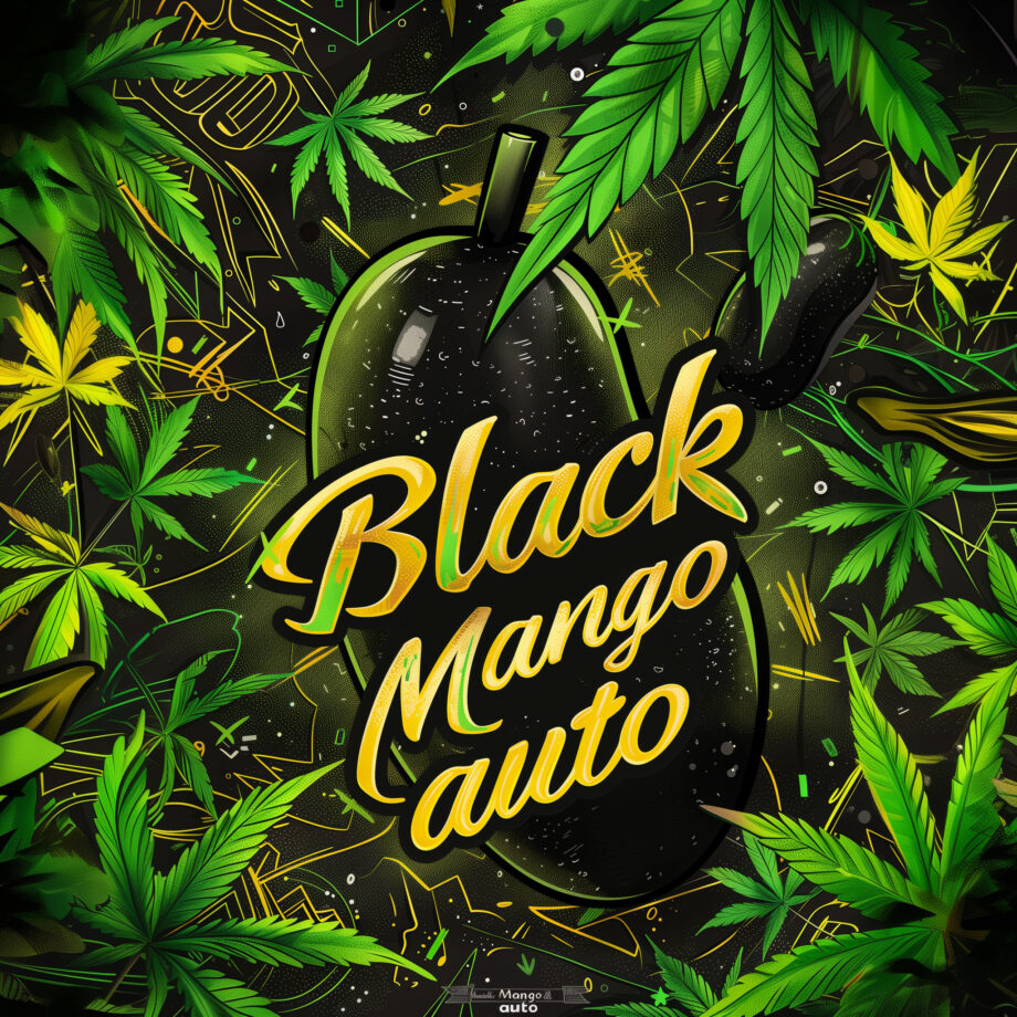 Nordkraut Mango Auto