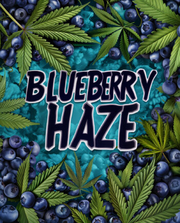 Nordkraut Blueberry Haze