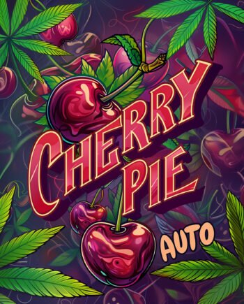 Nordkraut Cherry Pie Auto