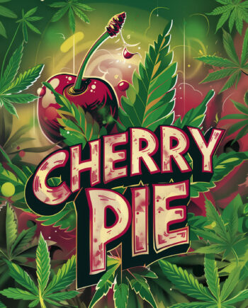 Nordkraut Cherry Pie