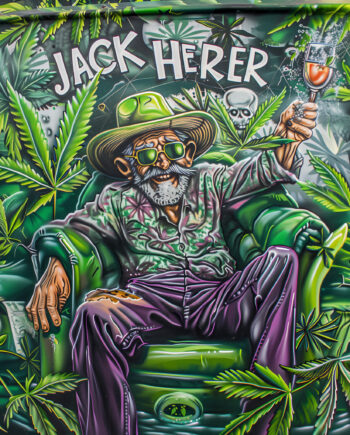 Nordkraut Jack Herer