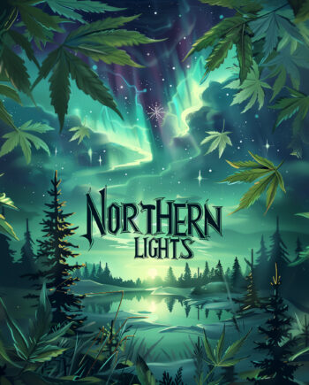 Nordkraut Northern Lights