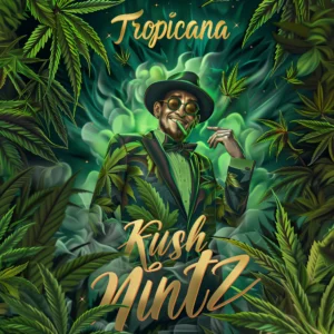 Nordkraut Tropicana x Kush Mintz