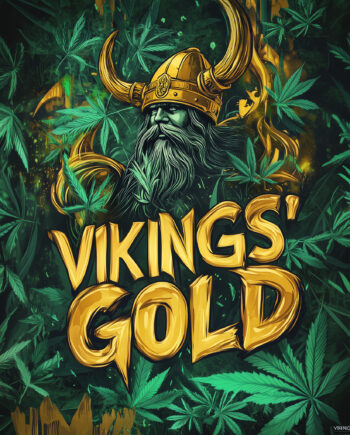 Nordkraut Viking's Gold